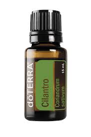 Cilantro Essential Oil