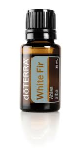 White Fir Essential Oil